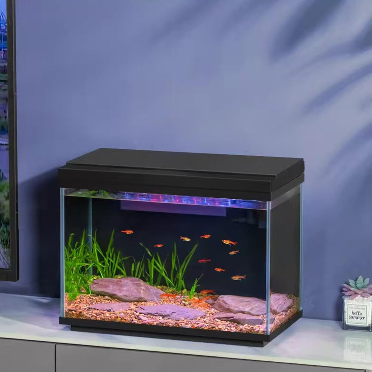 5 Gallon Fish Tank with Filter and Light