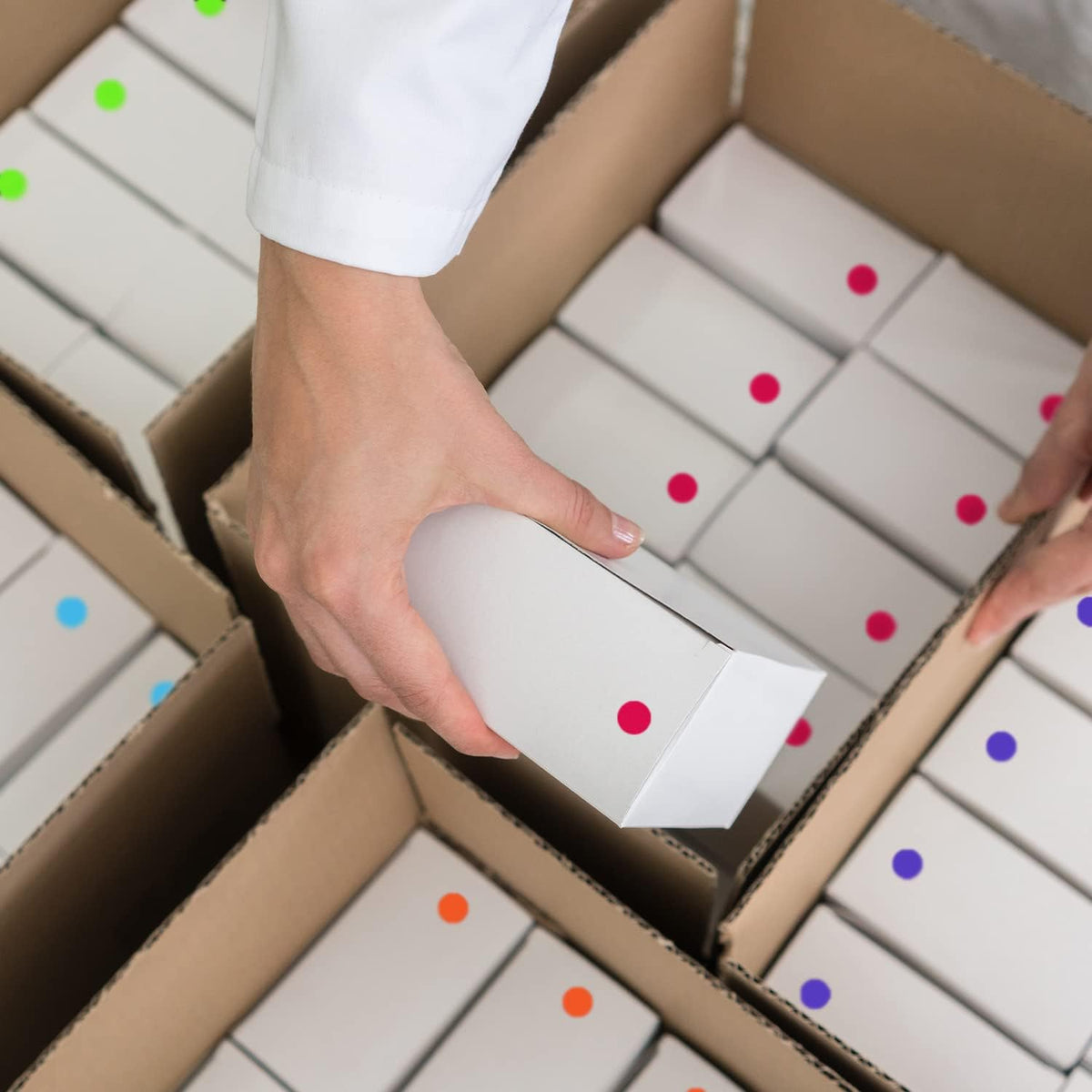 Violet Dot Stickers, 1/2 Inch, 1000/Box