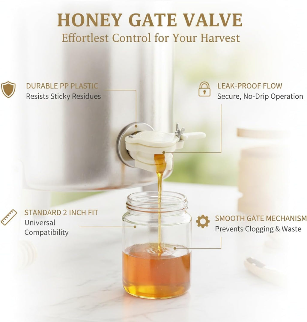 Gate Valve