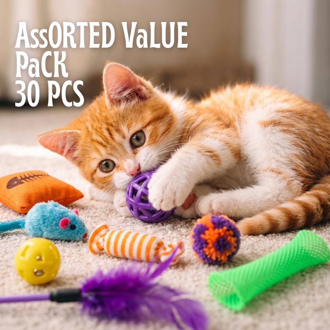 60 Interactive Cat Toys for Indoor Cats & Kittens – Crinkle Balls, Sparkle Pom Pom Balls, Spiral Springs, Cat Mice