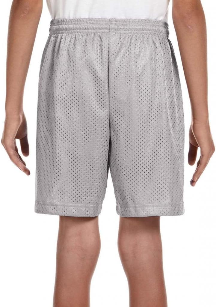 Youth 6" Lined Tricot Mesh Shorts>L Silver NB5301