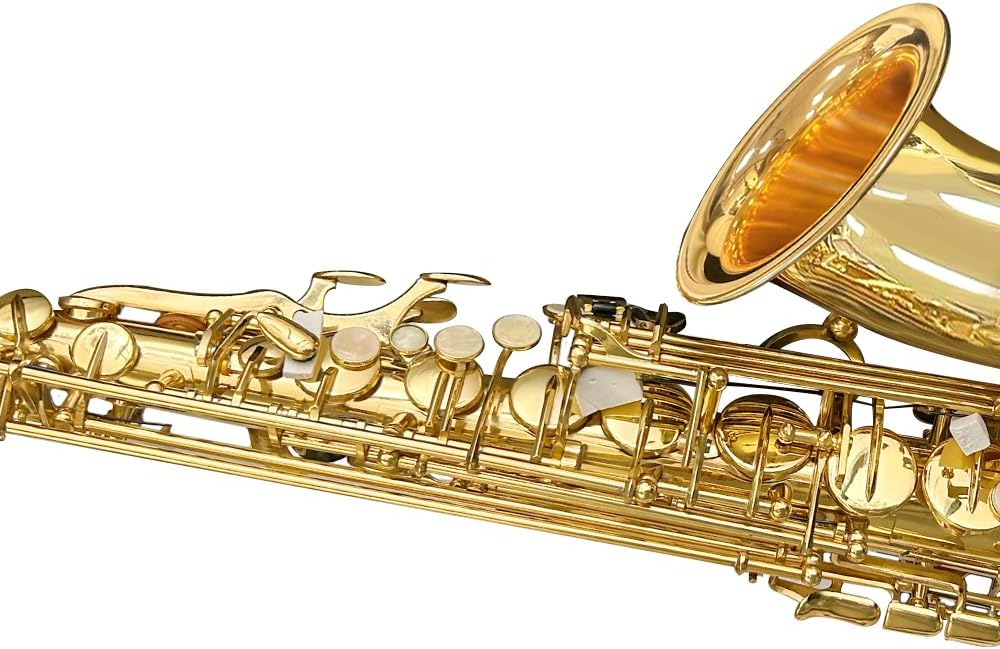 Eb Alto Saxophone For Beginners Adult,Saxophone Student,E Flat Alto Sax Full Kit With Reeds,Pads Cushions,Hard