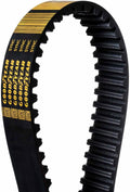Goodyear Belts 1760-8M-20 RPP Timing Belt, 8M Profile, 1760 mm