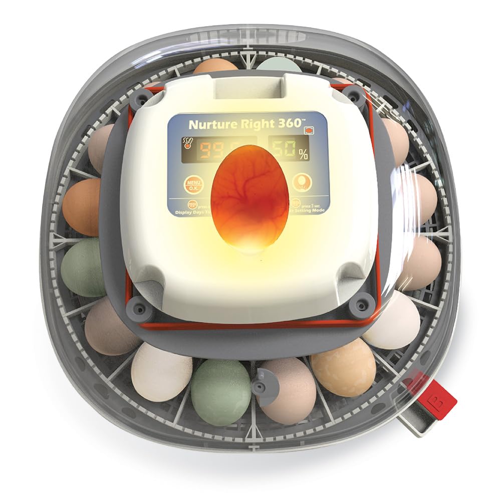 Nurture Right Egg Incubator with Auto Turner, Holds 22 Eggs