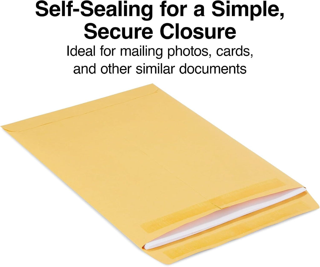 9x12 Self-Seal Catalog Envelopes, Brown Kraft, 100/Box