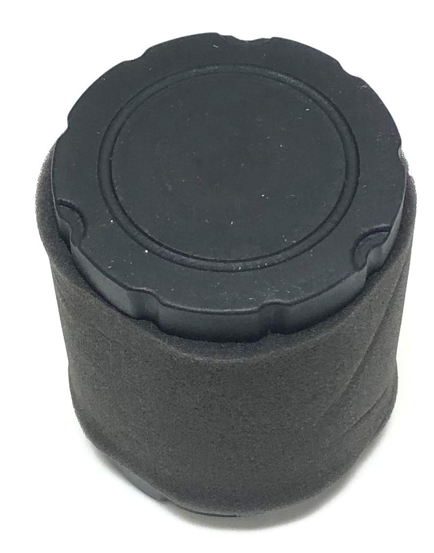 Briggs & Stratton Air Filter Plus Pre-Filter - Compatible Air Filter 796032, 591583, Pre-Filter 798911