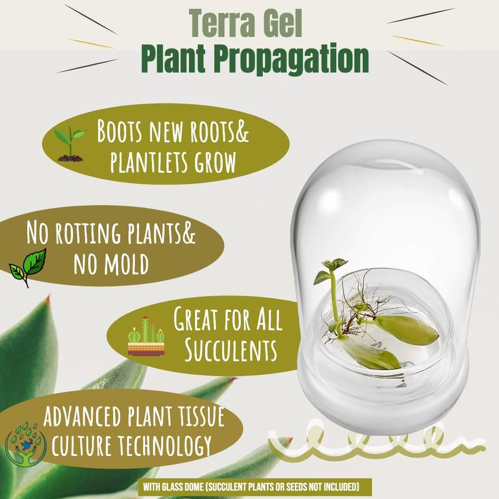 Terra Gel Plant Propagation Seed Starter Tray with Glass Dome – Advanced Technology Gardening Supplies Plant