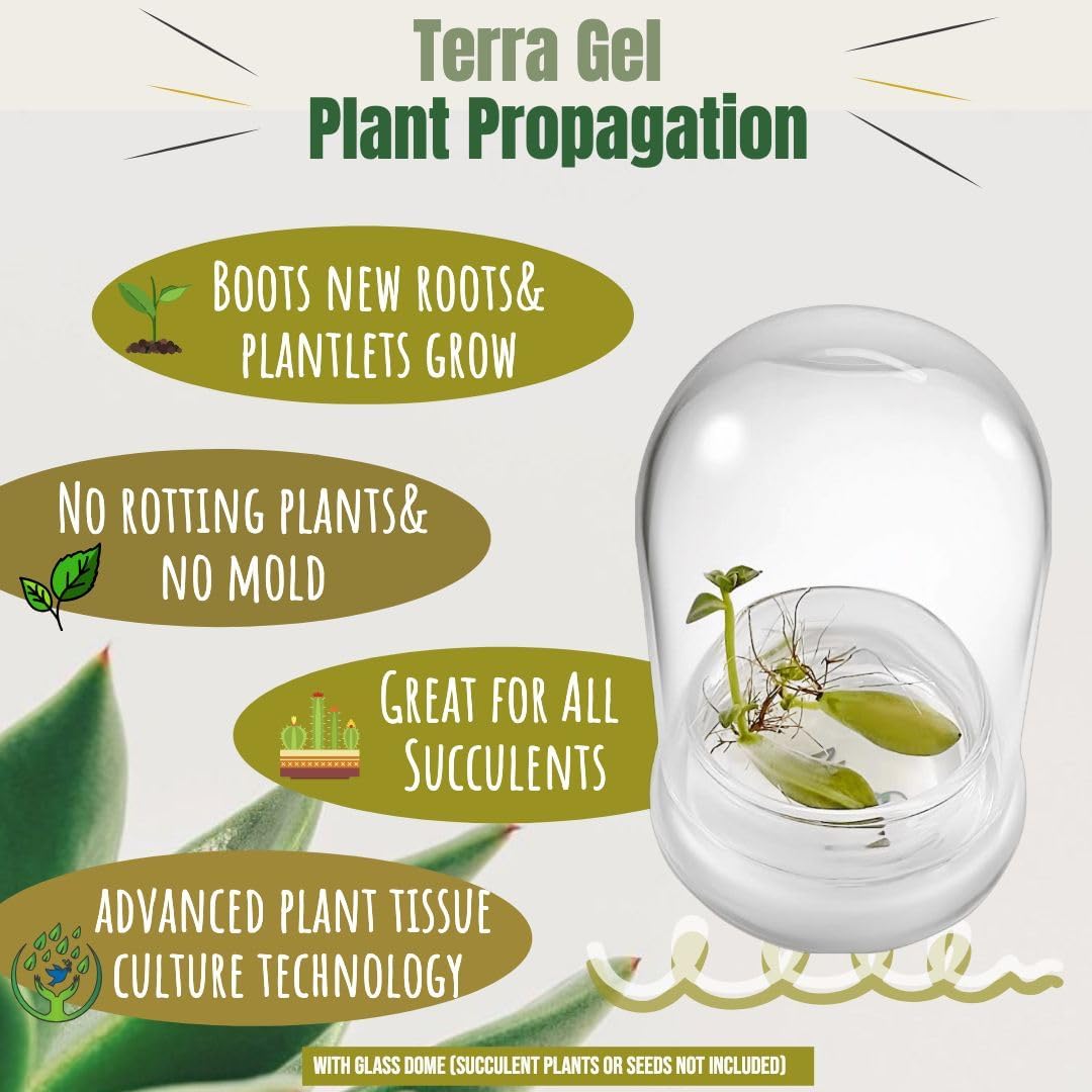 Terra Gel Plant Propagation Seed Starter Tray with Glass Dome – Advanced Technology Gardening Supplies Plant