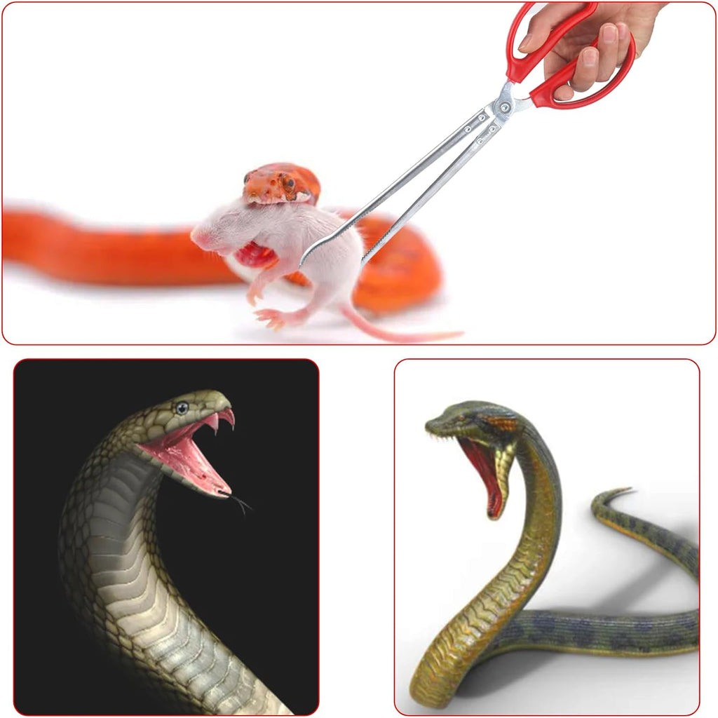 15 Inch Reptile Feeding Tongs, Extra Long Large Snake Feeding Tweezers, Curved or Straight Design Heavy Duty