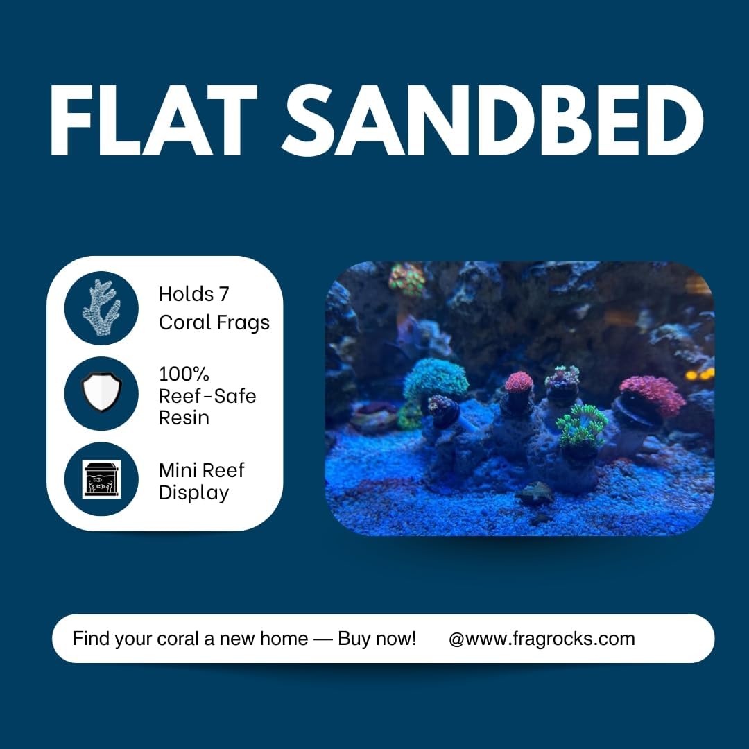 7 Hole Flat Bottom Frag Rack/Rock Base for Live Coral Plug Ons for Reef Aquariums (Coralline Purple)