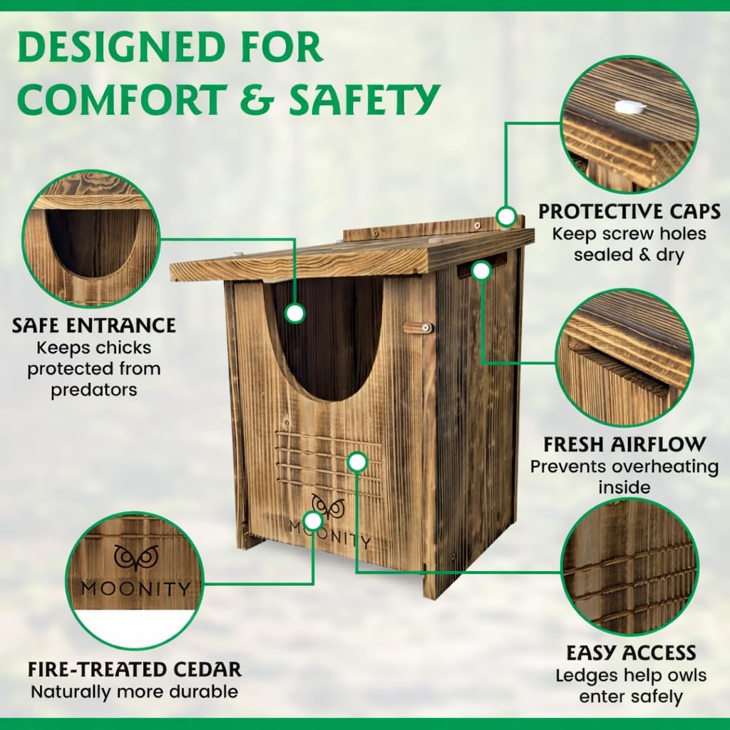 Large Fire-Treated Cedar Owl House – 16" x 12" x 12" All-Season Nesting Box for Barn & Screech – Durable