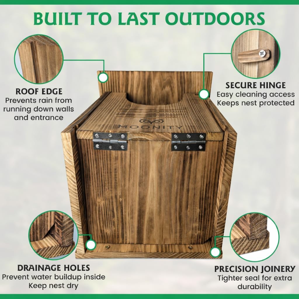Large Fire-Treated Cedar Owl House – 16" x 12" x 12" All-Season Nesting Box for Barn & Screech – Durable