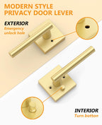 1 Pack Brushed Gold Privacy Interior Door Handles