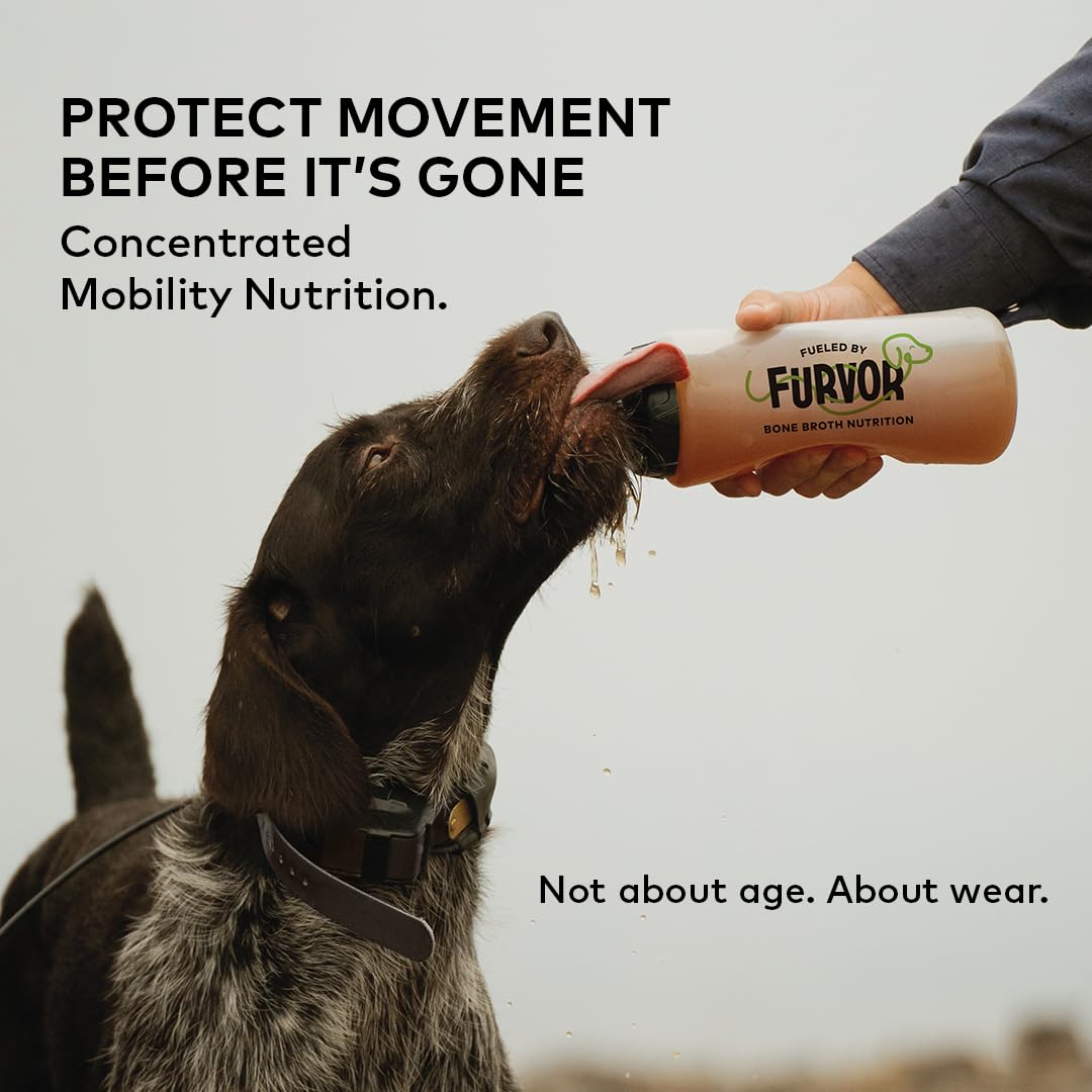 Advanced Mobility Beef Bone Broth for Dogs, 18 Single Servings