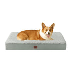 Orthopedic Dog Bed Large with Removable Washable Cover, 35x23