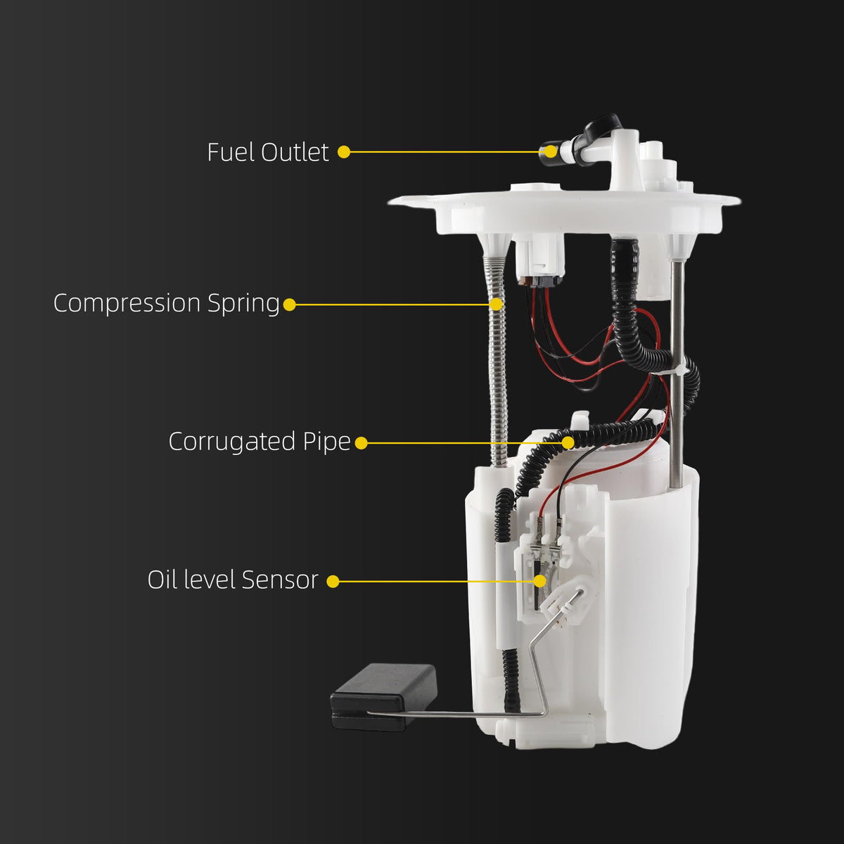 Dasbecan Fuel Pump Assembly Compatible With Honda