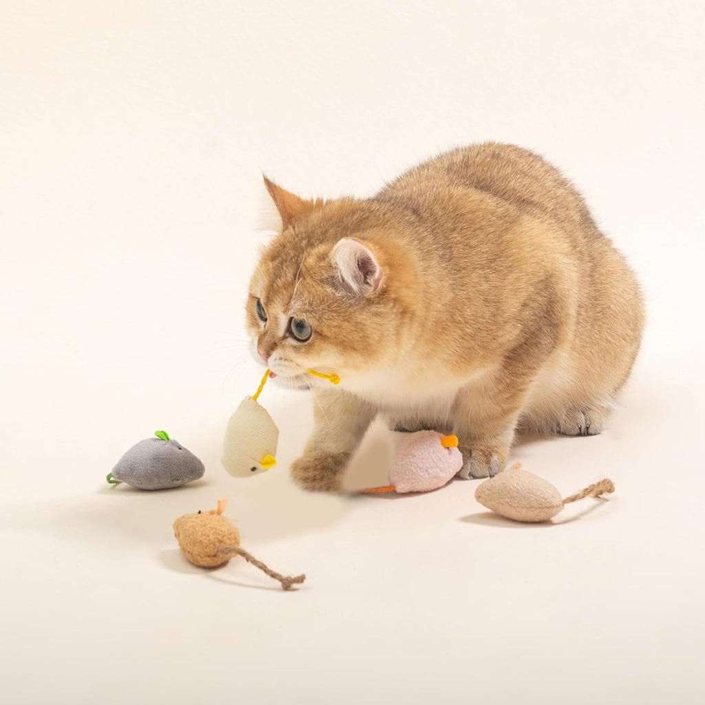 cat Toys 5pcs Mouse Toys, Interactive Catnip Animal Toys for Indoor Kittens to Eliminate Boredom for Bored Indoor