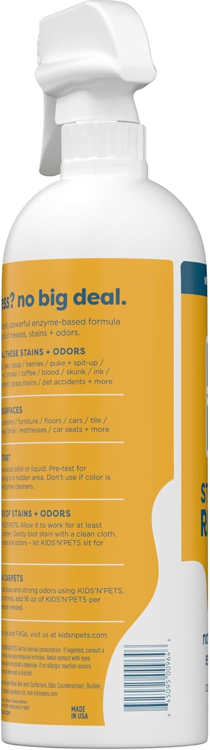 Instant All-Purpose Stain & Odor Remover - 32oz