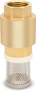 1/2" NPT Foot Valve with Filter, Brass, Heavy Duty, Female Thread, DN15