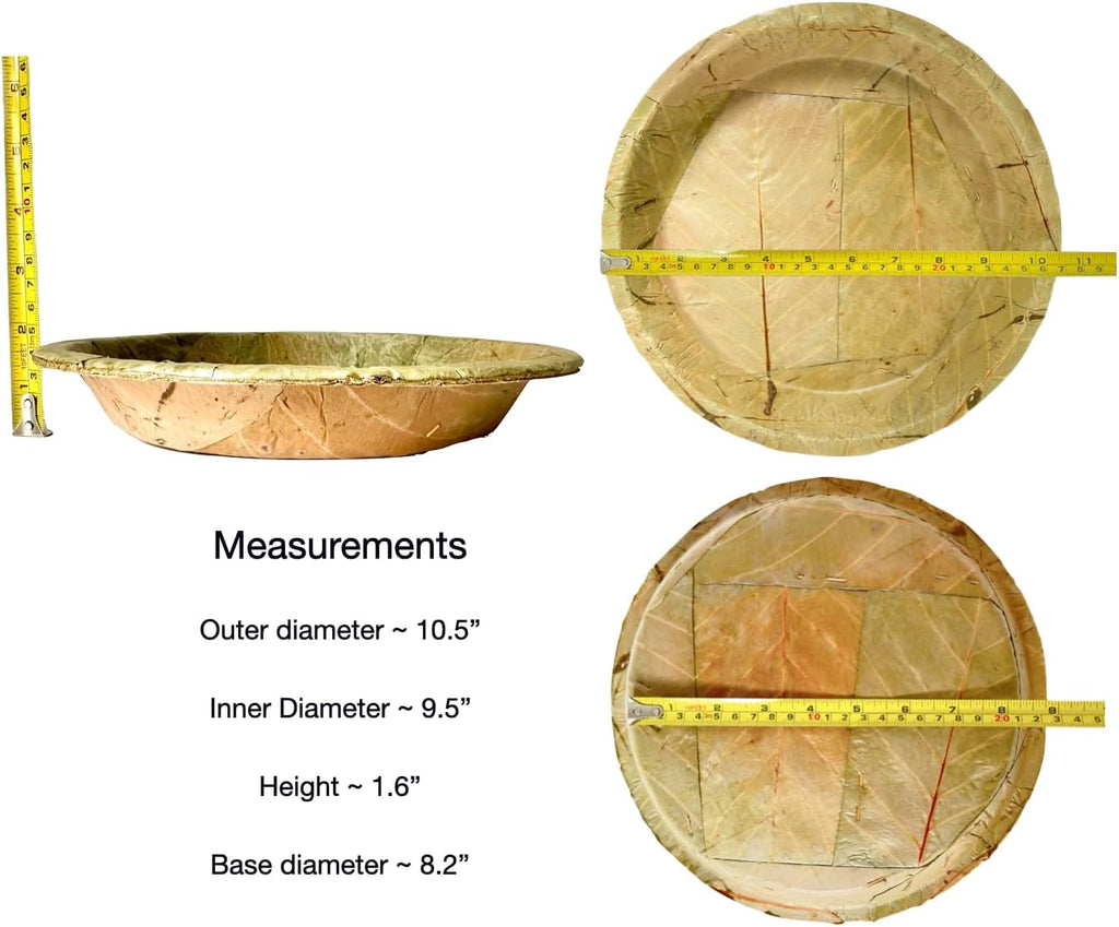 Single Use Sal Leaf Plates (11 inch, 25/pack) | Zero Waste, Biodegradable, Backyard Compostable | For Parties