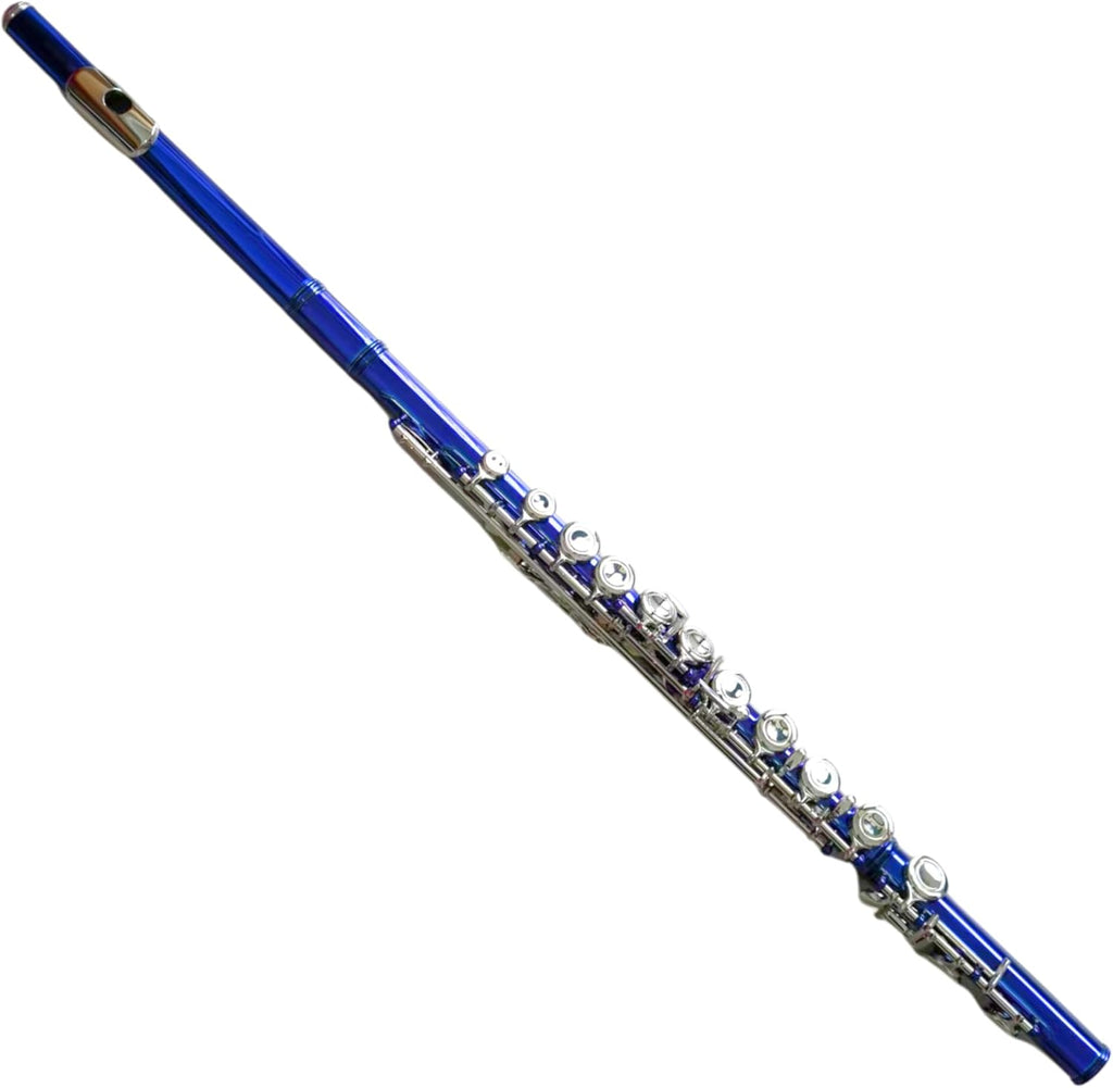 C Flute Closed Hole 16 Keys Nickel Plated, DFL-401, for Beginner Student Flute Instrument with Cleaning Kit, Carrying