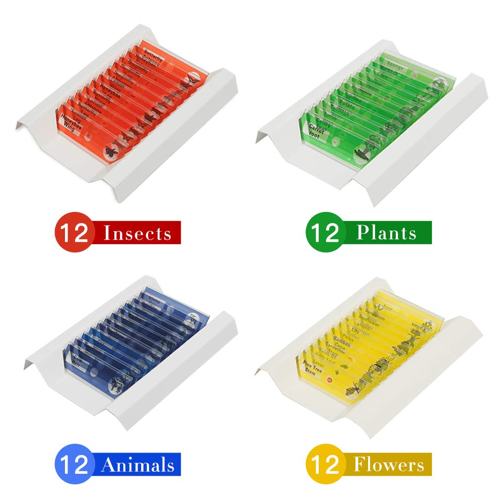 48 Prepared Microscope Slides Set of Animals Insects Plants Flowers, Biological Learning Resource Specimens for Kids