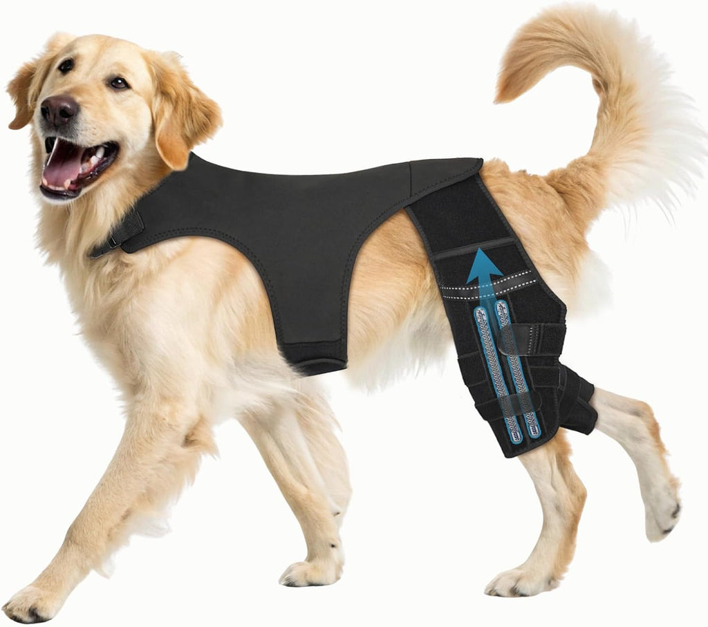 Dog Knee Brace for Torn ACL Hind Leg, Dog Leg Braces for Back Leg Support with 4 Metal Stabilizers Helps with Torn
