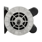 raseparter 3 HP SPL Single Phase 56 Frame 3450 RPM 1 Phase Electric Motor 115/230 Volts CCW 5/8 Inch Shaft Air Compressor