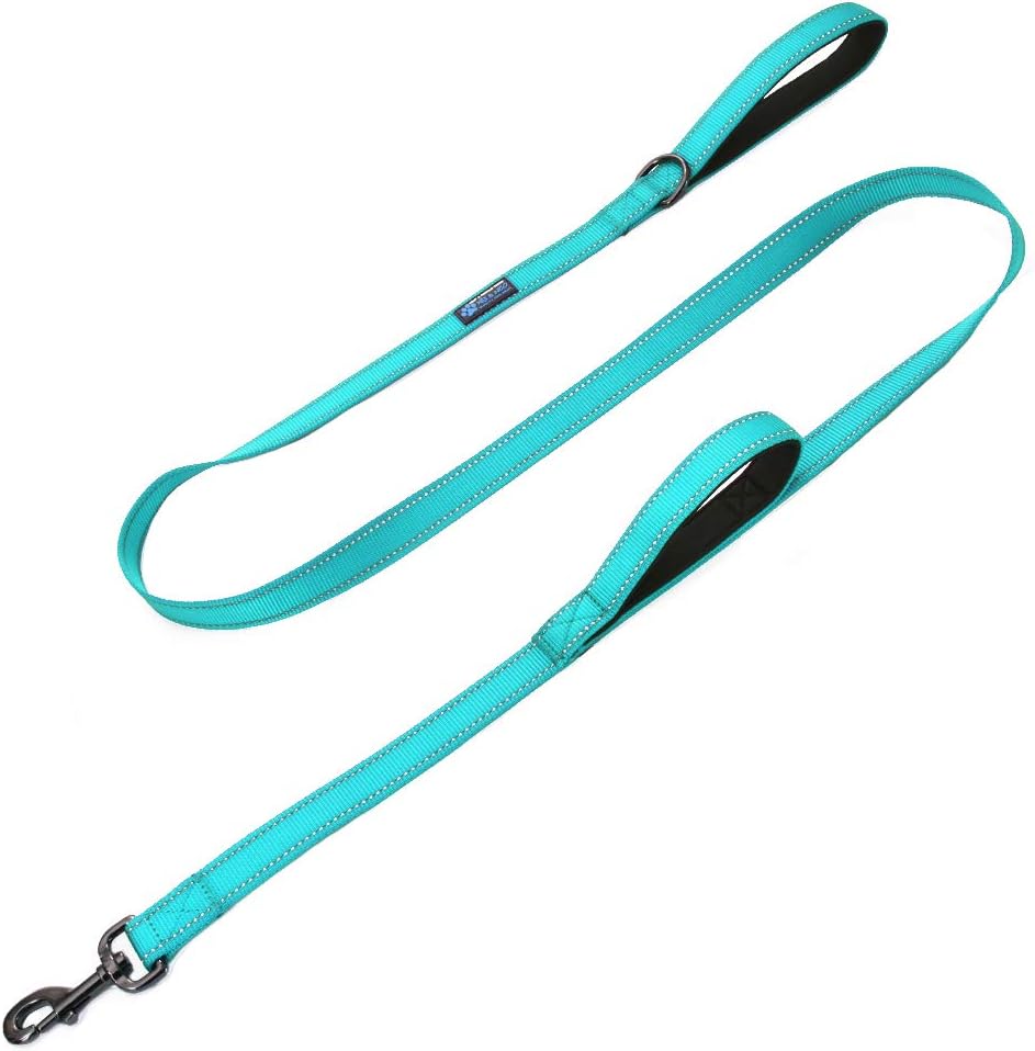 Double Handle Traffic Dog Leash - Reflective, Donates to Dog Rescue (Teal, 6 FT)