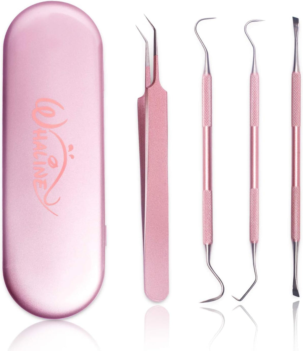 Vinyl Weeding Tools Set of 4, Precision Stainless Steel Weeder Kit with Case, Includes Scraper, Hook, Spatula