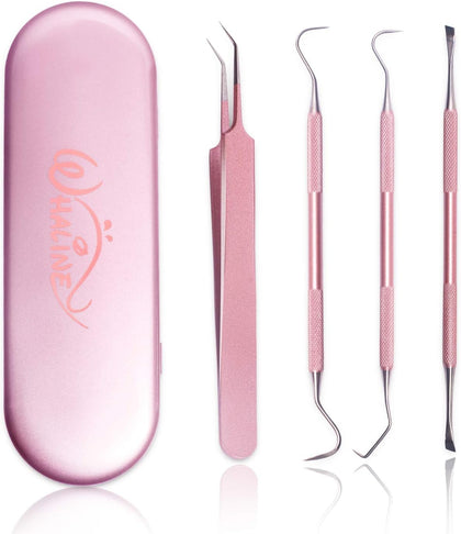 Vinyl Weeding Tools Set of 4, Precision Stainless Steel Weeder Kit with Case, Includes Scraper, Hook, Spatula