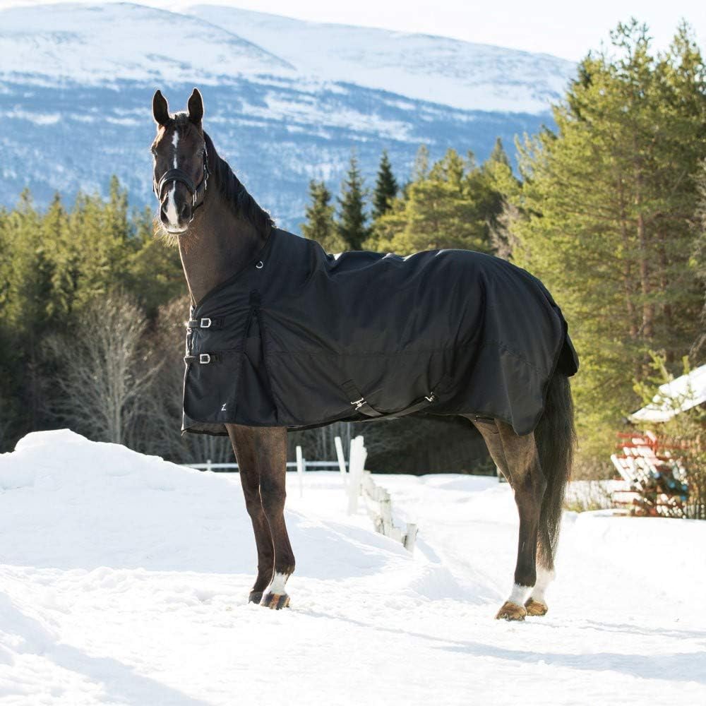 Nevada Horse Blankets for Real Horses, Turnout Blankets for Horses