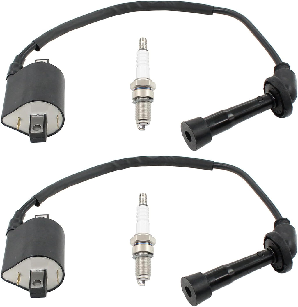 Ignition Coil and Spark Plug for Yamaha V Star 650 1998-2016