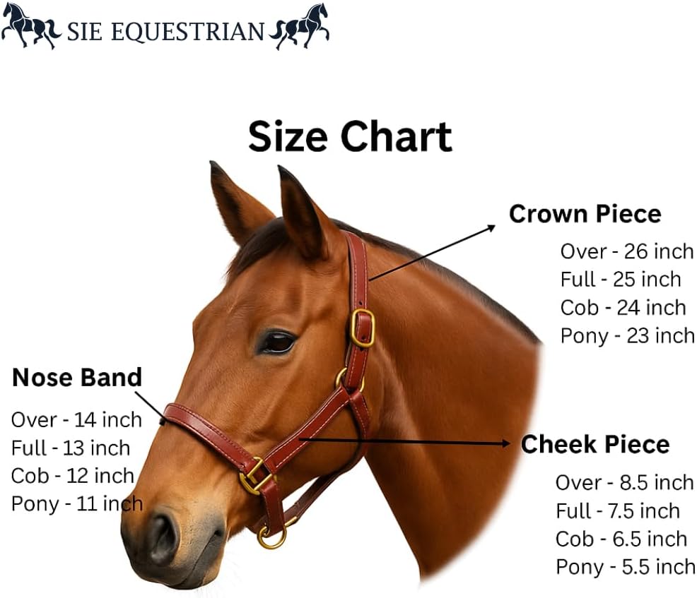 SIE Padded Leather Horse Halter with Brass Hardware and Raised Fancy Stitching (Black with Pink Padding, Cob)
