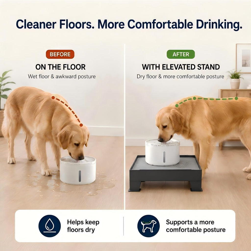 Raised Dog Fountain Stand with Absorbent Diatomite Mat, Adjustable 3.5" & 6" Dog Water Bowl Stand, Helps Keep Floors