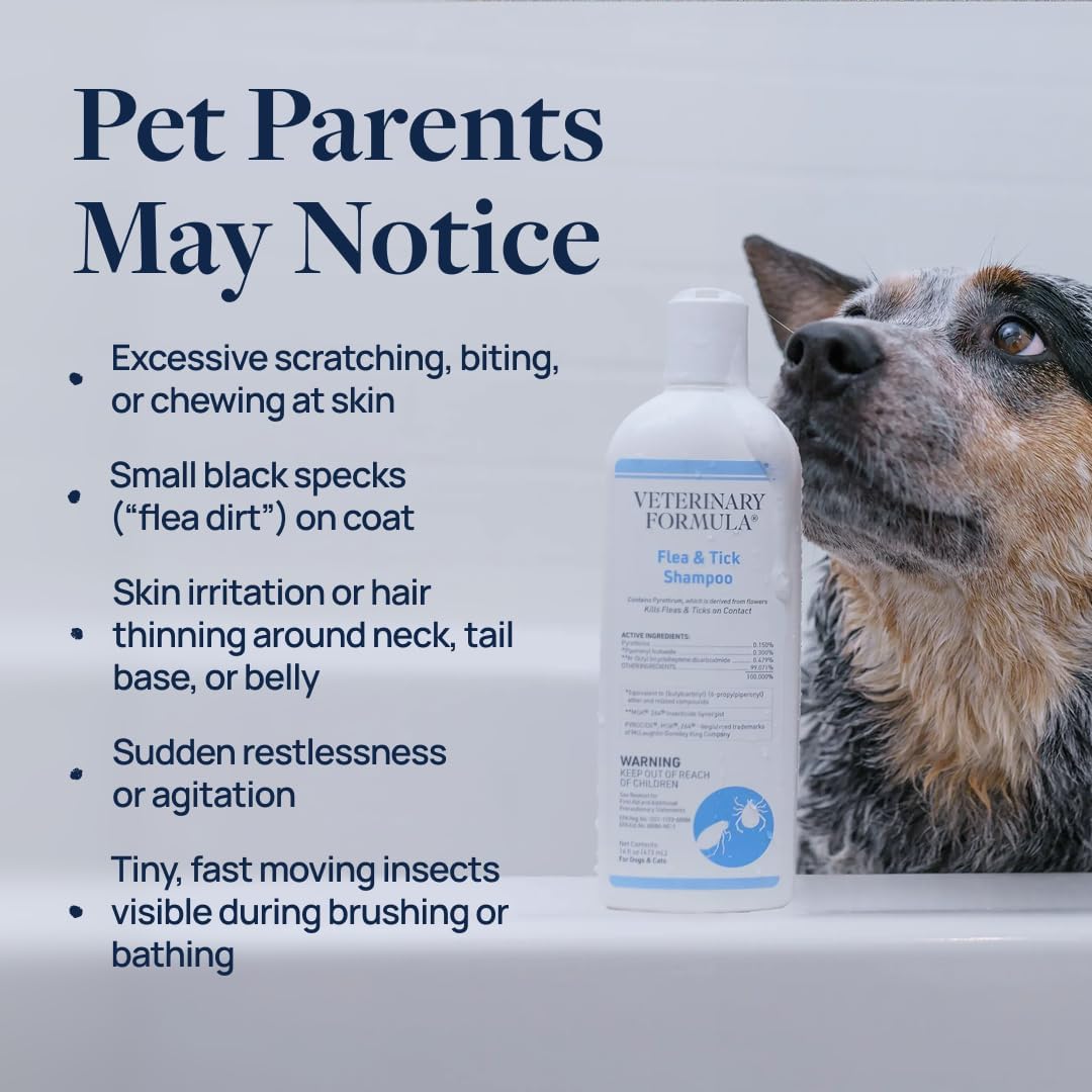 Flea & Tick Shampoo for Dogs & Cats, 16 oz, 2-Pack