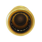 Tectite by Apollo 3/4 in. Brass Push-To-Connect Check Valve