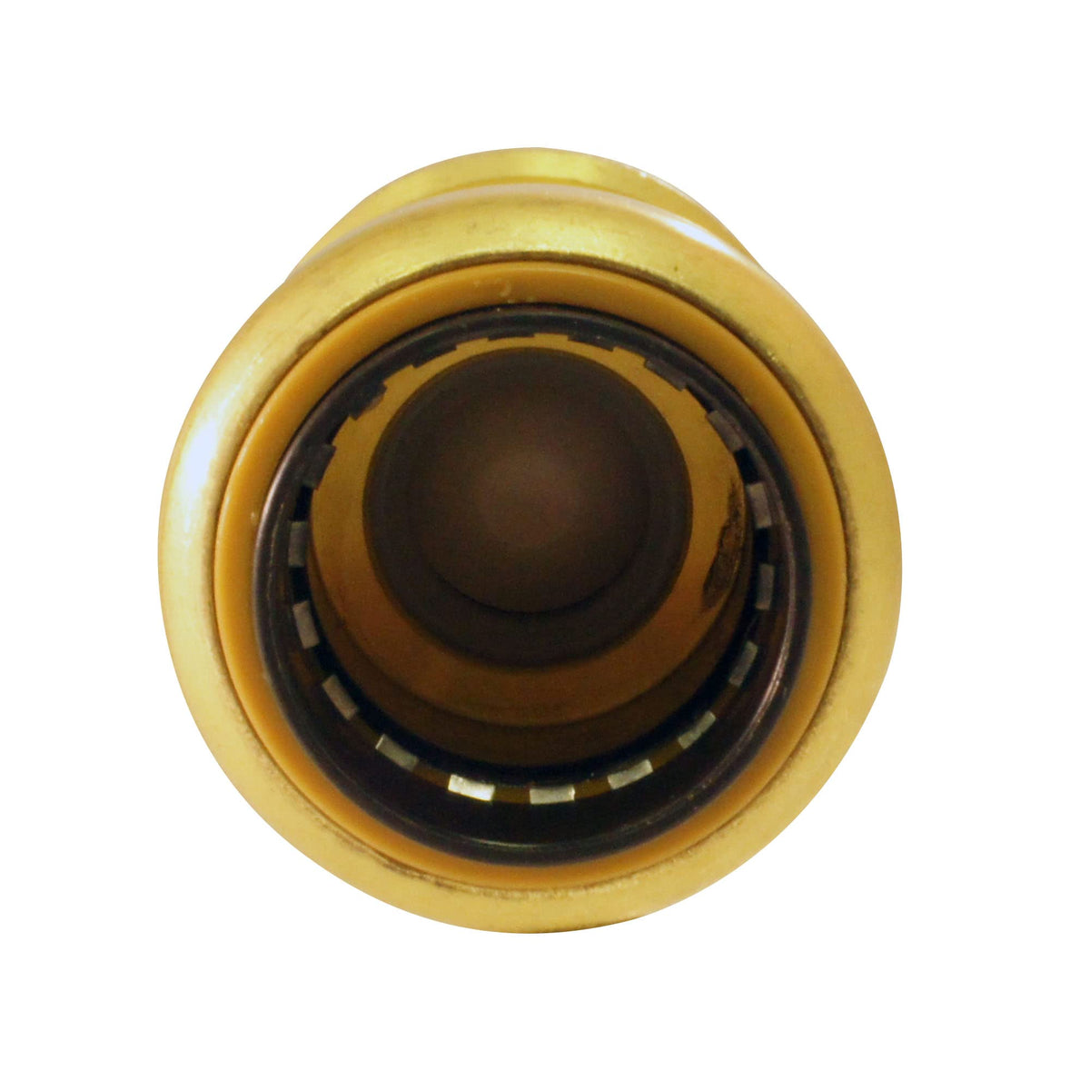 Tectite by Apollo 3/4 in. Brass Push-To-Connect Check Valve