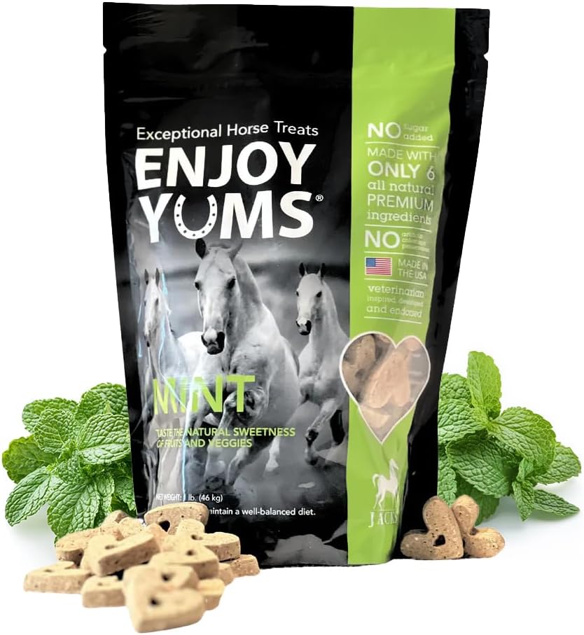 Mint Horse Treats – 1 lb Bag – All-Natural, Low Sugar, Heart-Shaped Baked Biscuits – Peppermint & Honey Flavor –