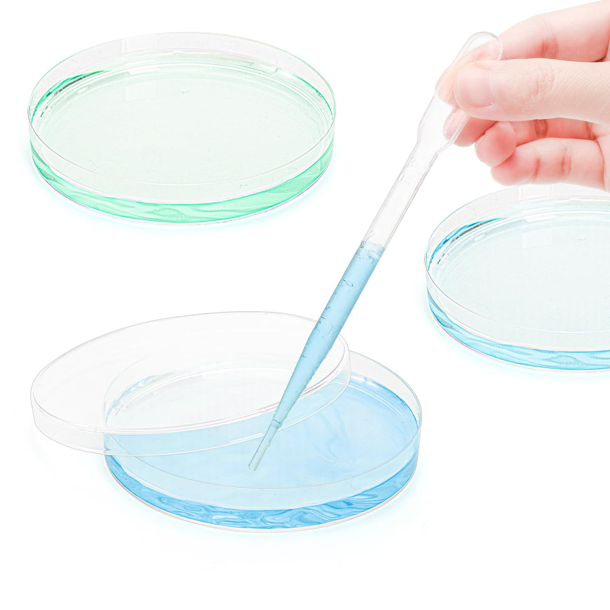 Petri Dishes with Lids, 50 Pack 90mm Dia x 15mm Deep Plastic Sterile Container, 50 Pack Plastic Transfer Pipettes(3ml)