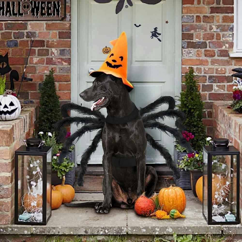 Spider Pet Costume for Halloween Cats & Small Dogs, Black
