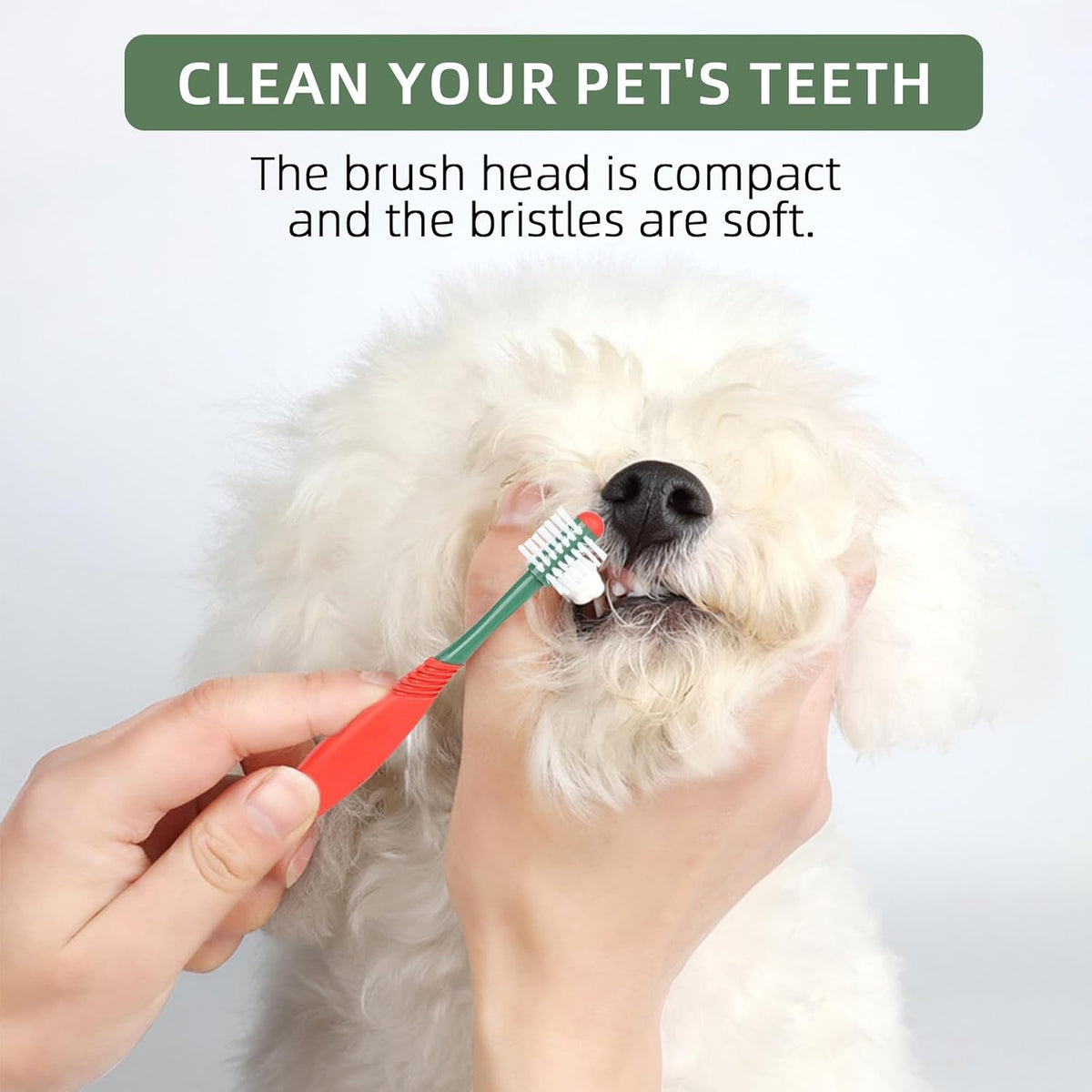 Dog Toothbrush and Toothpaste Kit Vanilla Dog Toothpaste(70g)