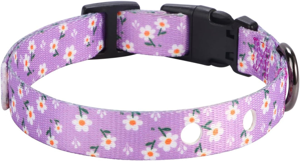 3/4 Inch Replacement Collar Strap Shock Collar with 2 Holes, Compatible with Nearly All Brands and Models of
