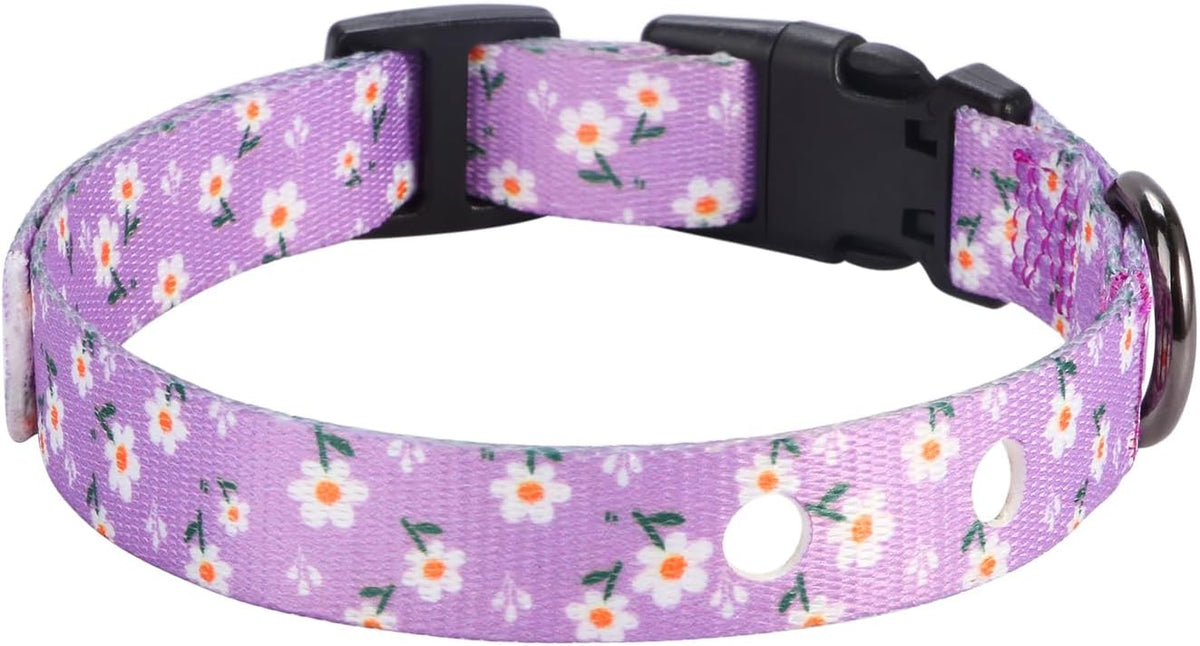 3/4 Inch Replacement Collar Strap Shock Collar with 2 Holes, Compatible with Nearly All Brands and Models of