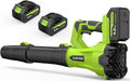 Leaf Blower Cordless 650CFM 288MPH Electric Leaf Blower with 2 x 4.0Ah Battery Operated, 6 Speed Mode, 20V Powered