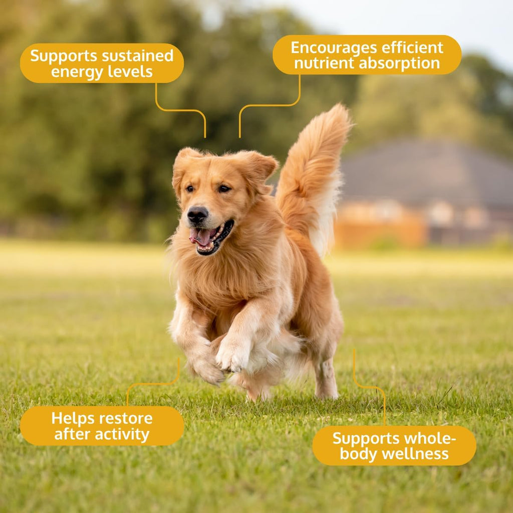 Goat Milk Powder - Dog Milk Replacer for Puppies, Adults, and Seniors. Whole Goat Milk Rich in MCTs for Activity