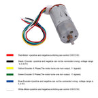 DC 12V DIY Encoder Gear Motor, 65mm Wheel Kit, 130RPM