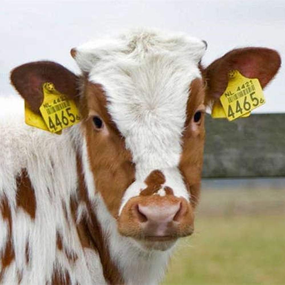 Cattle Ear Tags 001-100 Numbered Large Plastic Livestock Ear Tag ,Yellow