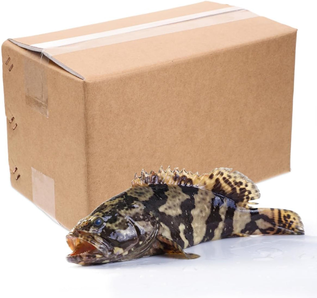 Aluminum Foil Lined Insulated Shipping Box for Seafood