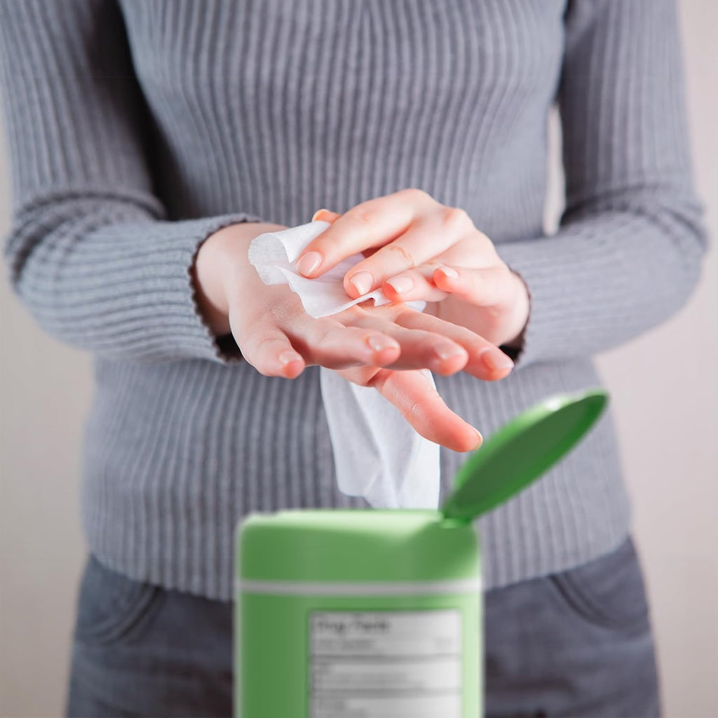 Antibacterial Hand Wipes Fresh Morning Breeze- Antibacterial Wipes with Aloe and Vitamin E Formula | 5"x7" Wet Wipes